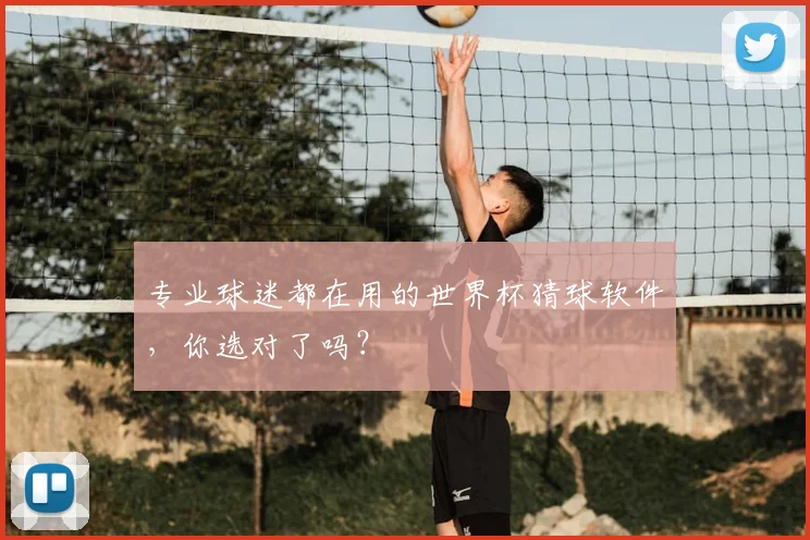 专业球迷都在用的世界杯猜球软件,你选对了吗?