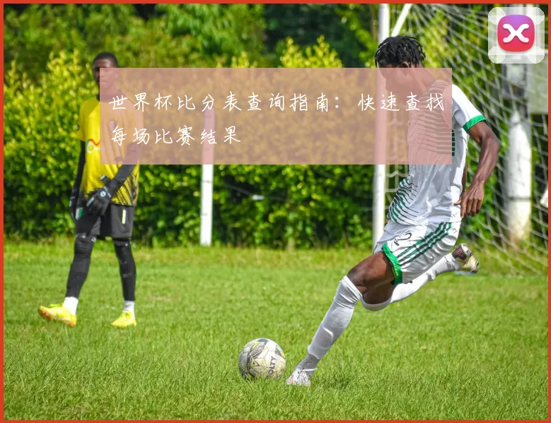 世界杯比分表查询指南:快速查找每场比赛结果