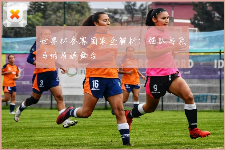 世界杯参赛国家全解析:强队与黑马的角逐舞台
