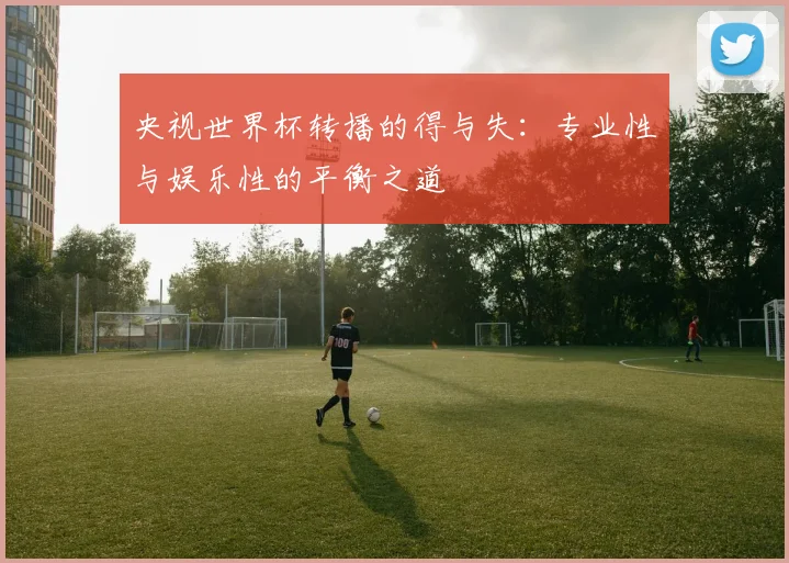 央视世界杯转播的得与失：专业性与娱乐性的平衡之道