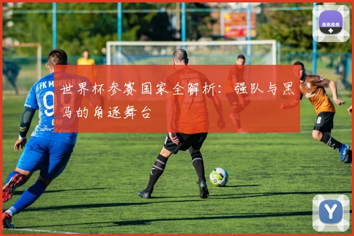 世界杯参赛国家全解析:强队与黑马的角逐舞台