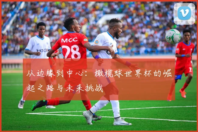 从边缘到中心:橄榄球世界杯的崛起之路与未来挑战