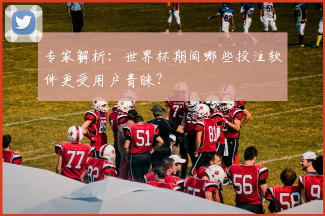 专家解析:世界杯期间哪些投注软件更受用户青睐?