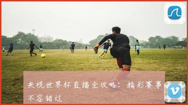 央视世界杯直播全攻略：精彩赛事不容错过