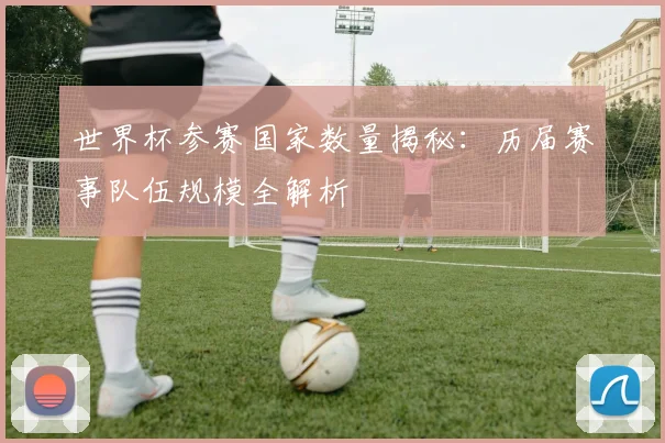 世界杯参赛国家数量揭秘:历届赛事队伍规模全解析