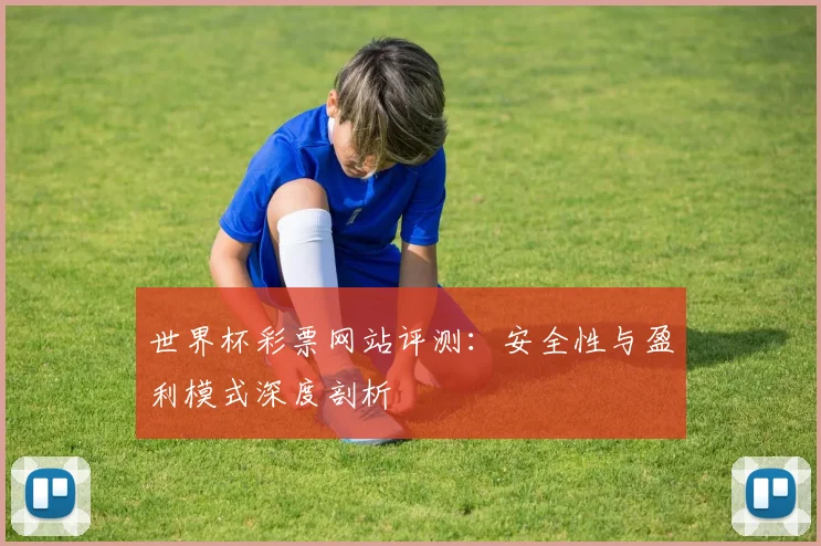 世界杯彩票网站评测:安全性与盈利模式深度剖析