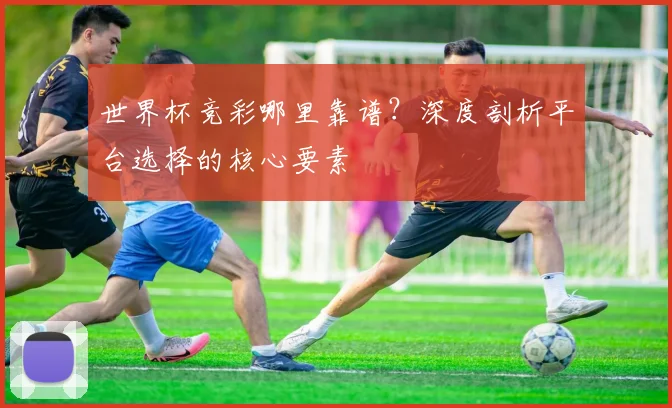 世界杯竞彩哪里靠谱?深度剖析平台选择的核心要素